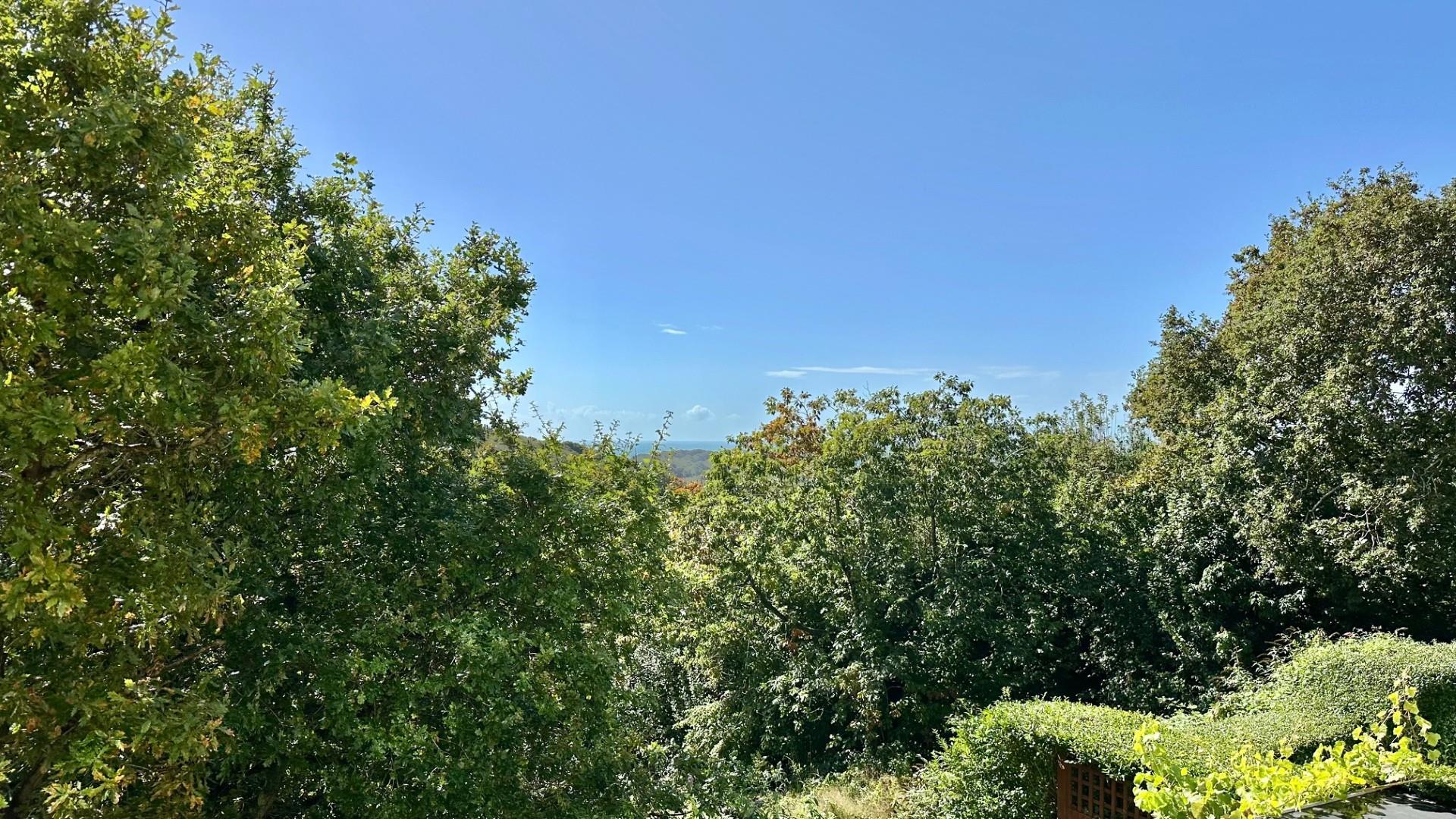2 Tilekiln Lane, Hastings